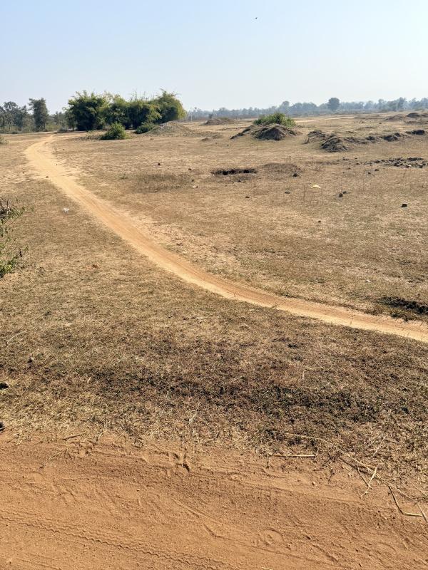  1 Acre Agricultural/Farm Land for Sale in Katangi, Balaghat