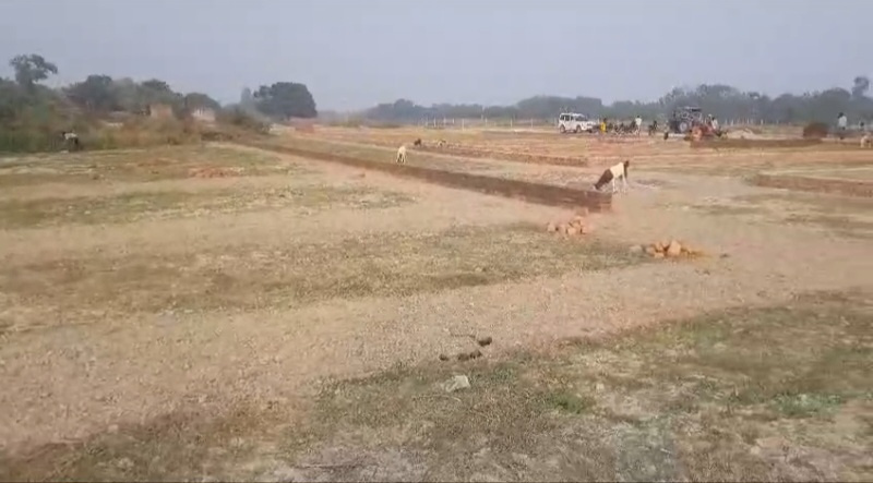  1000 Sq.ft. Residential Plot for Sale in Mohanlalganj, Lucknow