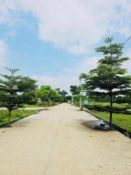  Residential Plot for Sale in Mangla, Bilaspur