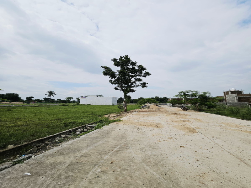  1000 Sq.ft. Residential Plot for Sale in Mangla, Bilaspur