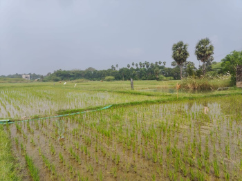  Agricultural Land for Rent in Tindivanam, Villupuram