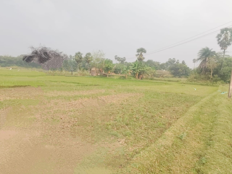 Tindivanam, Villupuram photo 4