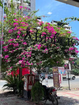  470 Sq.ft. Commercial Shop for Sale in Amrutdham, Nashik