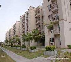 1 BHK Flat for Sale in Sector 63 Gurgaon