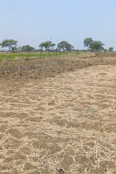  2 Acre Agricultural/Farm Land for Sale in Baitalpur, Bilaspur