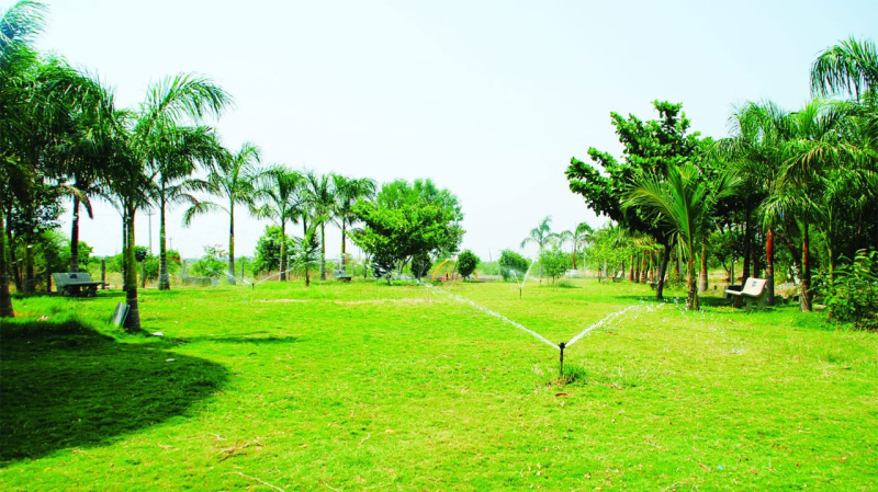  1163 Sq.ft. Residential Plot for Sale in Allipura, Bellary