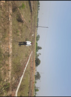  Residential Plot for Sale in Bahjoi, Sambhal