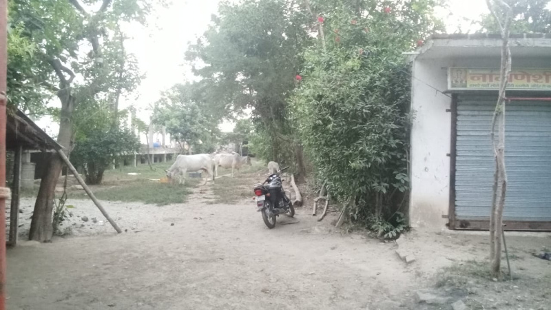  10800 Sq.ft. Commercial Land for Sale in Ayodhya, Faizabad