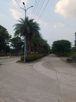  Residential Plot for Sale in Kanadia Road, Indore