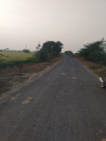  Agricultural Land for Sale in Badnawar, Dhar