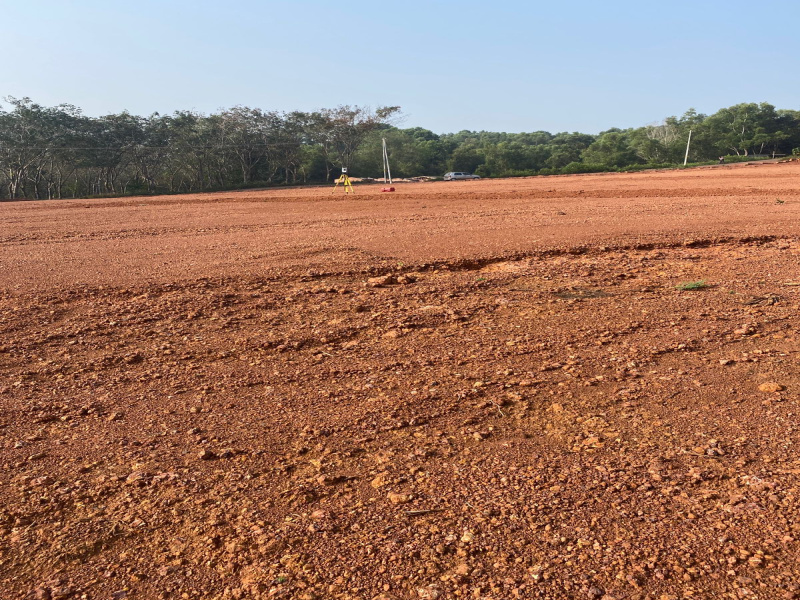 Payyannur, Kannur photo 2