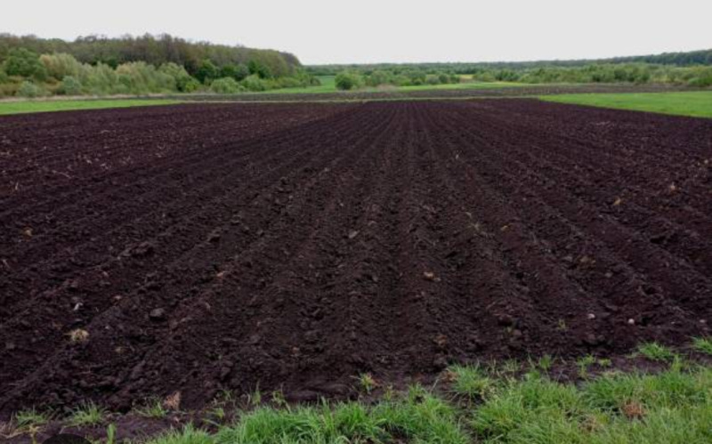  2 Acre Agricultural/Farm Land for Sale in Unkal, Hubli