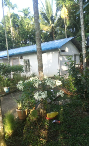  1200 Sq.ft. Residential Plot for Sale in Chouldari, Port Blair