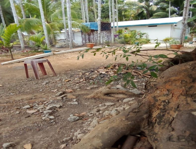  1200 Sq.ft. Residential Plot for Sale in Chouldari, Port Blair