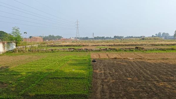  1000 Sq.ft. Residential Plot for Sale in Khorabar, Gorakhpur