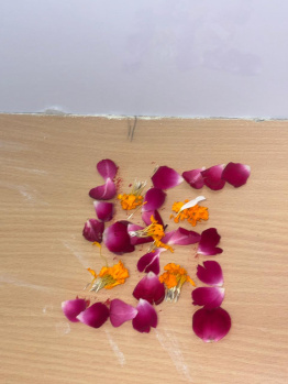  Office Space for Rent in Sector 73 Noida