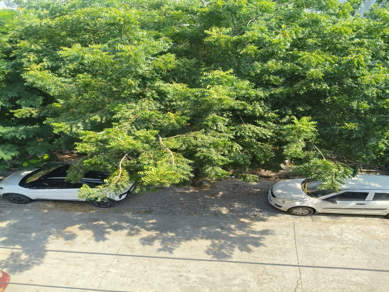 5 BHK 402 Sq.ft. House for Sale in Subhash Nagar, Kota