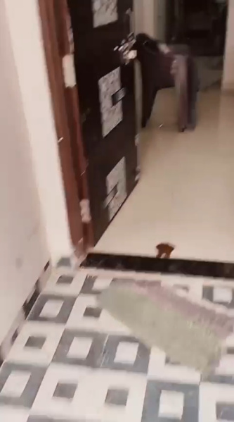 1 BHK 564 Sq.ft. House for Sale in Bhawrasla, Indore