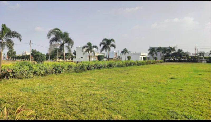  1000 Sq.ft. Residential Plot for Sale in Ringnodiya, Indore