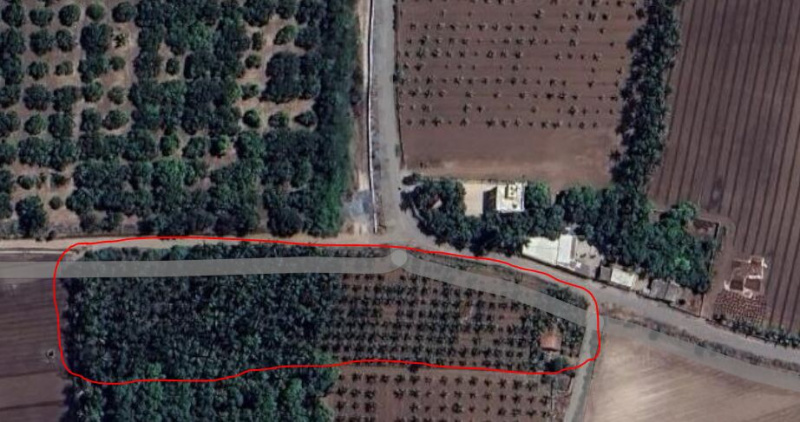  6 Bigha Agricultural/Farm Land for Sale in Malia, Junagadh