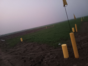  Residential Plot for Sale in Sonepur, Saran