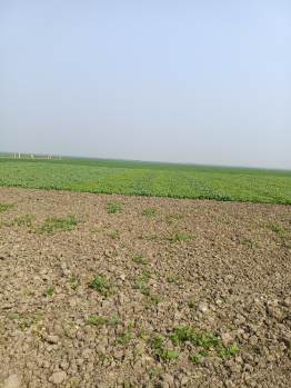  Residential Plot for Sale in Sonepur, Saran