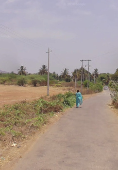  Agricultural Land for Rent in Nallakadirenahalli, ChikBallapur