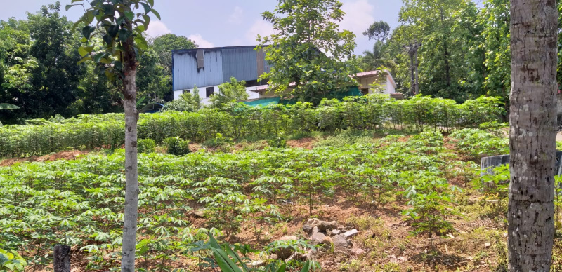  25000 Sq.ft. Warehouse for Sale in Changanassery, Kottayam