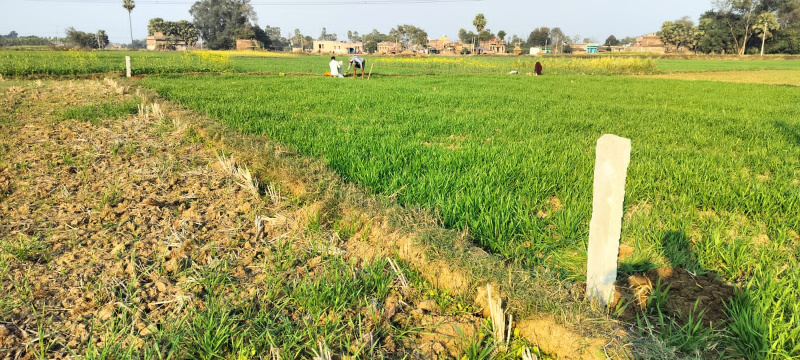  1200 Sq.ft. Residential Plot for Sale in Bihta, Patna