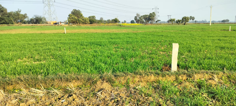  1200 Sq.ft. Residential Plot for Sale in Bihta, Patna