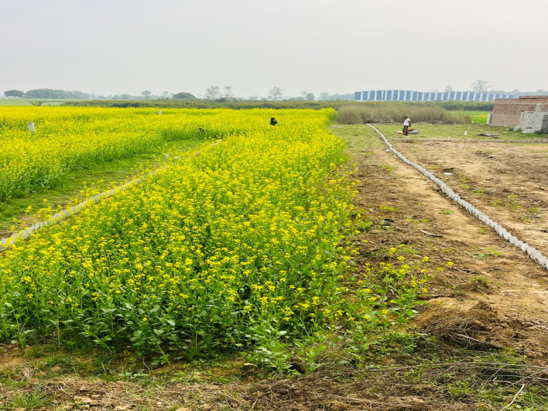  1200 Sq.ft. Residential Plot for Sale in Kanhauli, Bihta, Patna