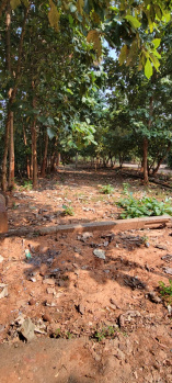  Residential Plot for Sale in Chinnamusidivada, Visakhapatnam