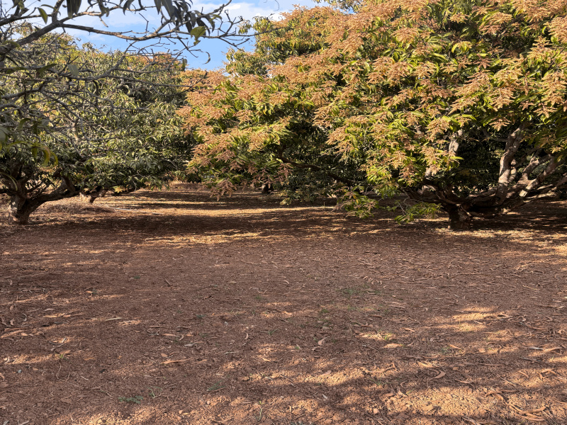 Kalabhavan, Dharwad photo 3