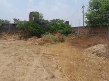  Residential Plot for Sale in Churamanpur, Buxar
