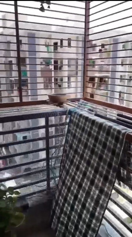 2 BHK 115 Sq. Yards Apartment for Sale in New Ranip, Ahmedabad