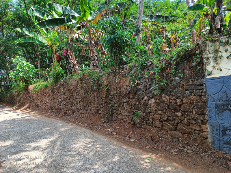  65 Cent Residential Plot for Sale in Omalloor, Pathanamthitta
