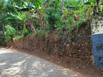  Residential Plot for Sale in Omalloor, Pathanamthitta