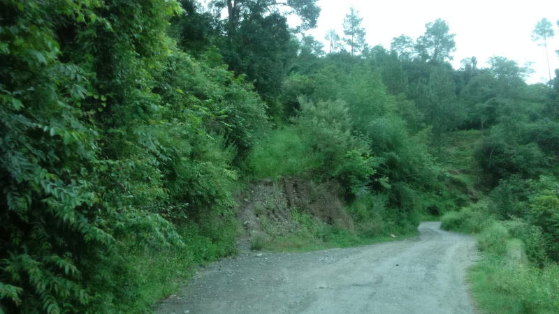  6750 Sq.ft. Residential Plot for Sale in Kandaghat, Solan