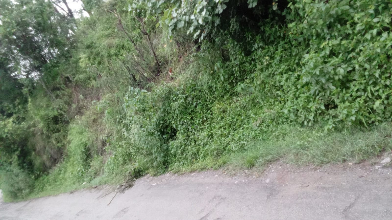  6750 Sq.ft. Residential Plot for Sale in Kandaghat, Solan