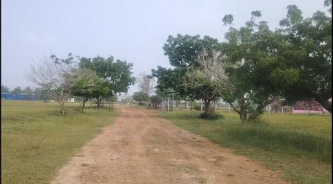  28 Acre Agricultural/Farm Land for Sale in Devakottai, Sivaganga