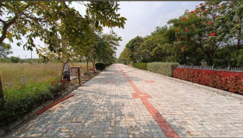 Residential Plot for Sale in Gauribidanur, Bangalore