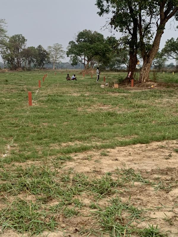  2613 Sq.ft. Residential Plot for Sale in Burla, Sambalpur