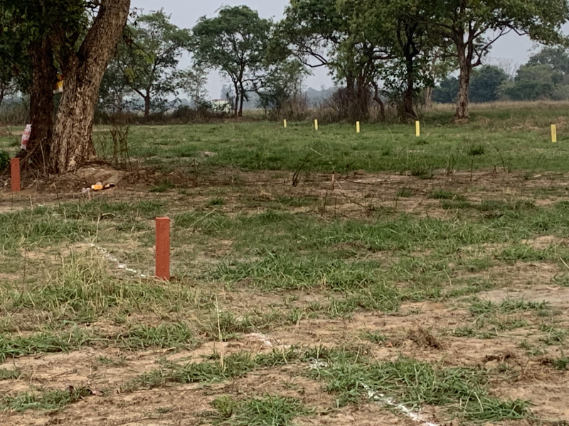  2613 Sq.ft. Residential Plot for Sale in Burla, Sambalpur