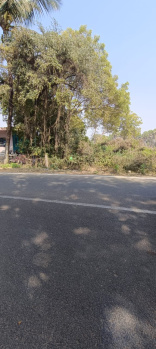  Residential Plot for Sale in Markona, Bhadrak