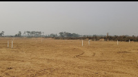  Residential Plot for Sale in Giriyak, Nalanda