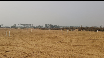  Residential Plot for Sale in Giriyak, Nalanda