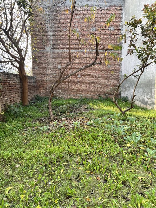  1013 Sq.ft. Residential Plot for Sale in Pehowa, Kurukshetra