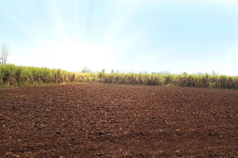  31 Bigha Agricultural/Farm Land for Sale in Khurja, Bulandshahr