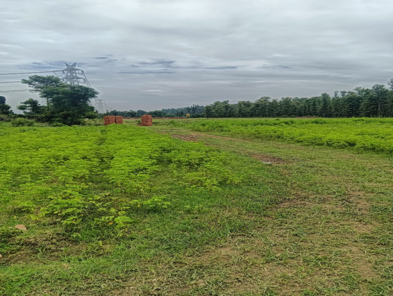  150 Sq.ft. Residential Plot for Sale in Badripur, Dehradun