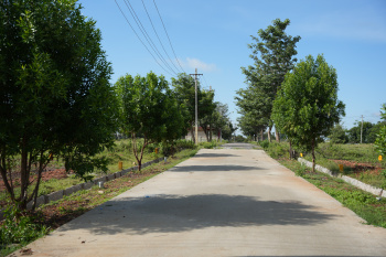  Residential Plot for Sale in Yelahanka, Bangalore